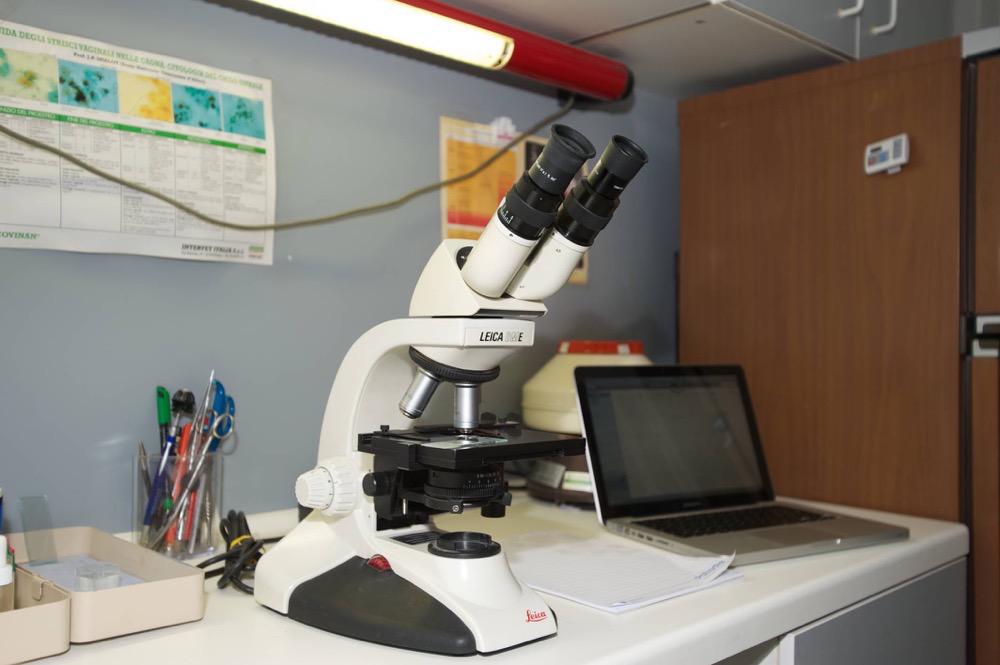Centro Veterinario San Giorgio - Analisi al microscopio